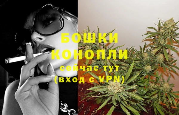 сатива Нязепетровск