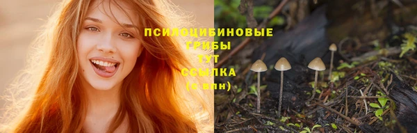 СК Магадан