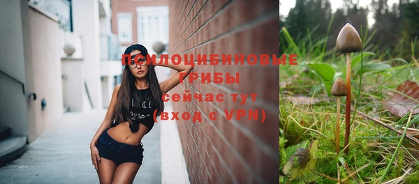 СК Магадан