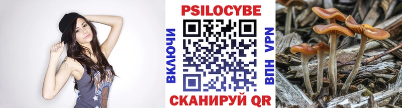 ОМГ ОМГ как зайти  Рубцовск  площадка официальный сайт  Галлюциногенные грибы Psilocybe 