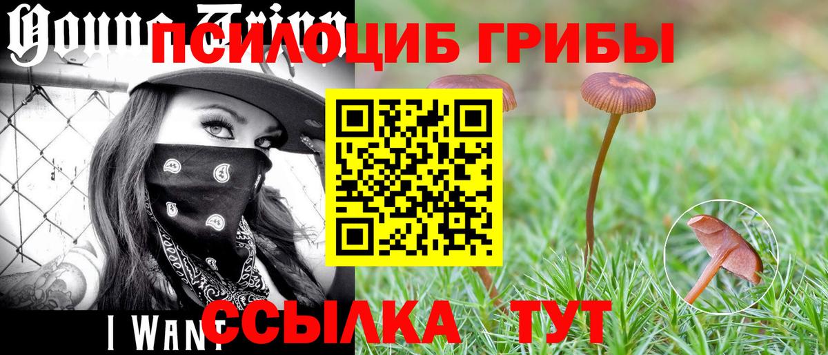 Рубцовск  Псилоцибиновые грибы Magic Shrooms  Псилоцибиновые грибы MAGIC MUSHROOMS  Вход с VPN 