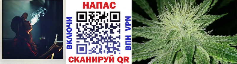 купить  цена  Рубцовск  Каннабис ГИДРОПОН 